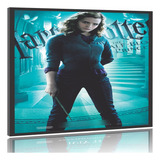 Quadro Poster Filme Harry