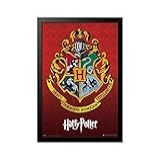 Quadro Poster Harry Potter