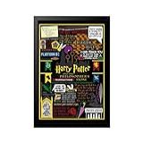 Quadro Poster Harry Potter