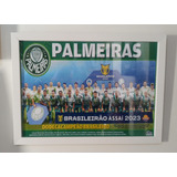 Quadro Poster Palmeiras Campeao
