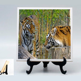 Quadro Presente Tigre Vida