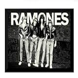 Quadro Ramones Banda Punk Rock Arte Poster Moldurado