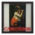 Quadro Raul Seixas Caminhos Capa De Disco De Vinil Album