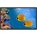 Quadro Sala Animais Peixes