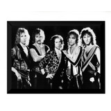 Quadro Scorpions Banda Rock Foto Moldura 42x29cm