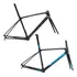 Quadro Speed Carbono Giant Tcr Advanced Sl  Várias Cores