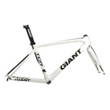 Quadro Speed Carbono Giant