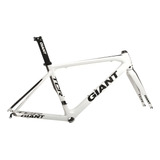 Quadro Speed Carbono Giant
