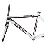 Quadro Speed Mosso Aurora Garfo Carbono