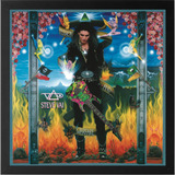 Quadro Steve Vai Passion