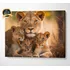 Quadro Tecido Canvas Tela Leoa Mãe Com 3 Filhotes Grande