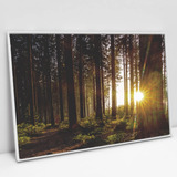 Quadro Tela Canvas Flores