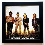 Vinil