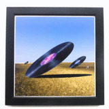 Quadro The Steve Miller