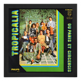 Quadro Tropicalia Ou Panis