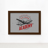Quadro Vintage Aviao Academy