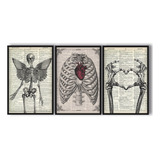 Quadros Decorativo Medicina Corpo Humano Ossos Esqueleto