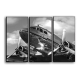 Quadros Decorativos 3 Pecas