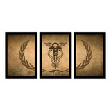 Quadros Decorativos 3 Pecas