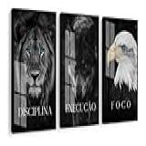 Quadros Decorativos Disciplina Execução Foco Águia Com Moldura Vidro