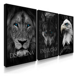 Quadros Decorativos Disciplina Execução Foco Leão Grande