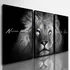 Quadros Decorativos Leão Juda Nunca Foi Sorte 122x60 Sala Hd