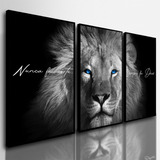 Quadros Decorativos Leao Juda