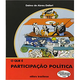 Que E Participacao Politica