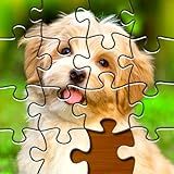 Quebra Cabeças Jigsaw Puzzles Clash