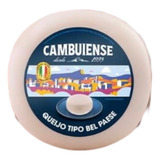 Queijo Tipo Bel Paese 450g Cambuiense Linha Ouro