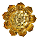 Lótus