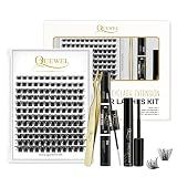 QUEWEL Kit De Extensões De Cílios DIY Lash Clusters 144 Pcs  Pinça Para Cílios Cluster Lashes Golden Lashes  Agregados De Cílios Bond And Seal à Prova D água  Cluster Lash Glue Remover Para Extensões De Cílios DIY  BR RR DH 01 