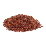 Quinua Quinoa Em Grão Vermelha 1kg Wenutri Full