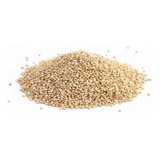 1kg