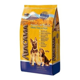 Racao Atacama Puppies Filhotes
