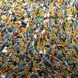 Ração Calopsita Periquitos Agapornes 10kg Completa