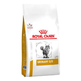 Canin
