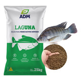 Kg