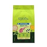 Ração Para Cães Adultos Guabi Natural Raças Mini E Pequenas Sabor Cordeiro E Aveia 1Kg