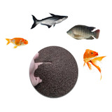 Ração Para Peixes Carpas Kinguios E Tilápias 10kg