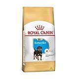 Ração Para Rottweiler Filhote Royal Canin 12kg