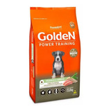 Ração Power Training Cães Filhotes Frango Arroz 15kg Golden
