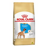 Racao Royal Canin Boxer