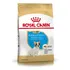 Ração Royal Canin Bulldog Francés Filhote Raça Pequena 1kg