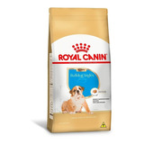 Ração Royal Canin Bulldog Inglês Para Cães Filhotes 12kg