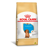 Ração Royal Canin Dachshund Para Cães Filhotes 2 5kg