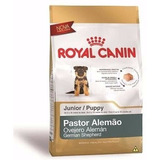Ração Royal Canin Junior Pastor Alemão Cães Filhotes 12 Kg