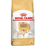Racao Royal Canin Labrador