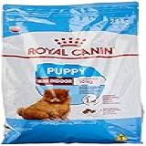 Ração Royal Canin Mini Indoor Junior Cães Filhotes 2 5Kg Sabor Outro