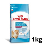 Ração Royal Canin Mini Indoor Puppy Junior Cães Filhotes 1kg